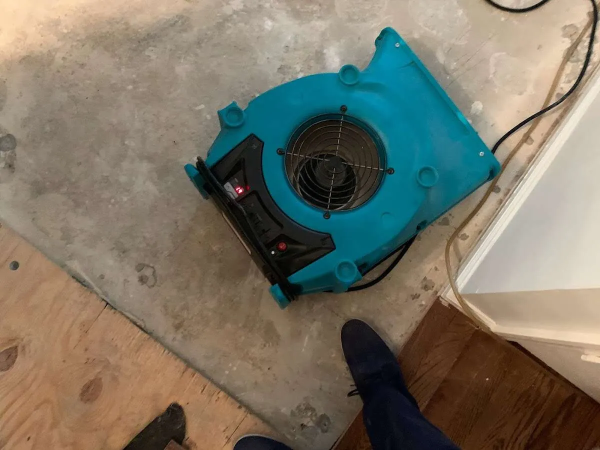 Air mover drying subfloor during Leak Detection & Repair in Montague